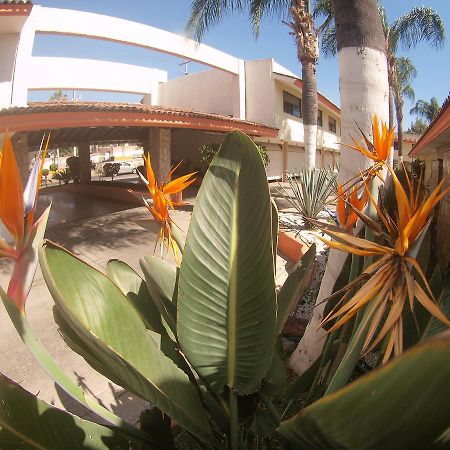 Auto Hotel Niza Tlaquepaque Bagian luar foto